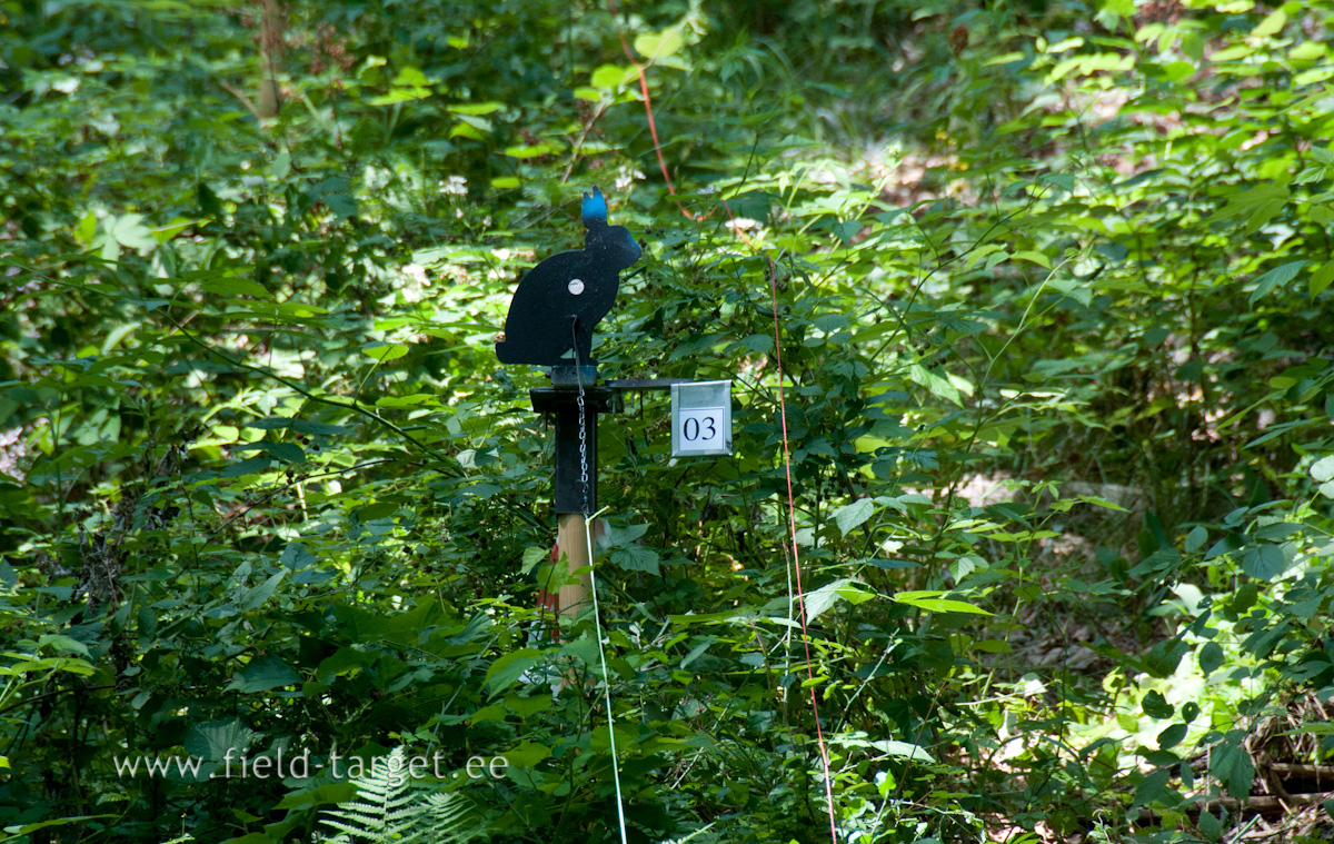 German joke - smallest number on the Lane and closest Target is on the right side